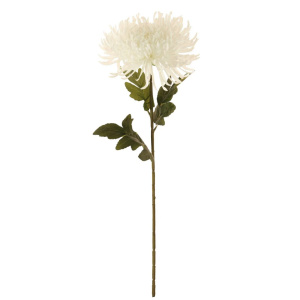 Fuji Mum Stem, White