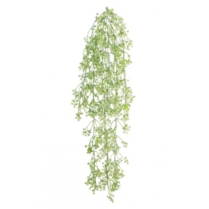 Plastic Trailing Felicity Bud White/green