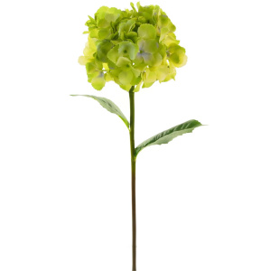 Silk Mophead Hydrangea Pale Green