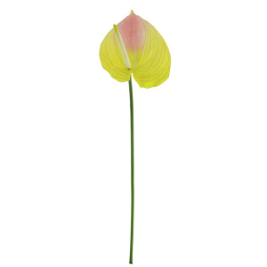 Plastic Anthurium Stem Green/ Pink