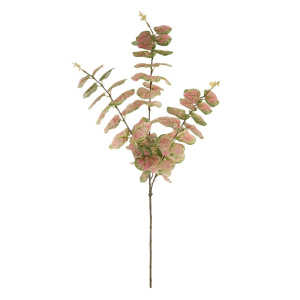 Rounded Eucalyptus Spray Pink/green