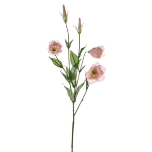 Lisianthus Spray X5 Pink