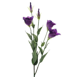 Lisianthus Spray X5 Prple