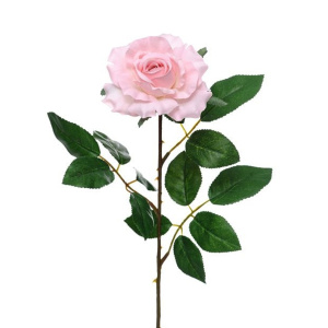 Premium Rose Medium Soft Pink