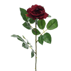 Premium Rose Medium Burgundy