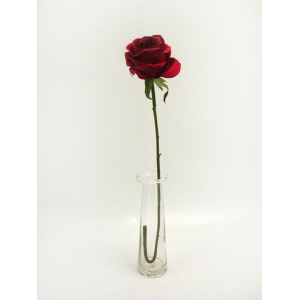 Prize Rose Med Red