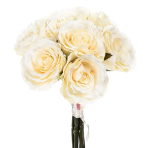 Bundle Rose Short Stem Cream