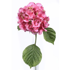 Hydrangea Stem Pink