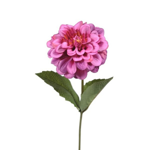 Zinnia Pink 46cm