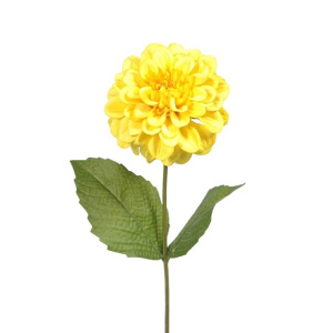 Zinnia Yellow 46cm