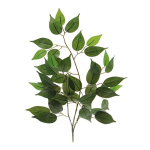 Basic Ficus Branch Green 50cm