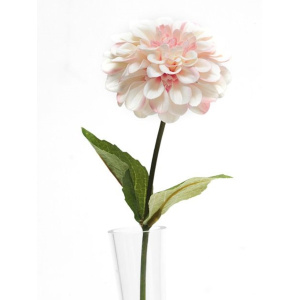 Zinnia Pale Pink 46cm