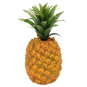 Fruit Pineapple
