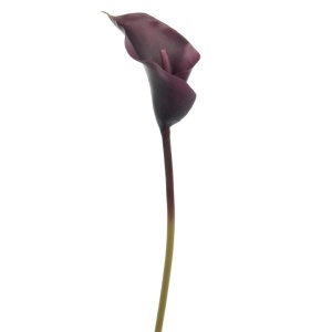 Calla Lily 63cm