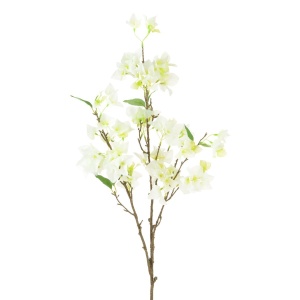 Bougainvillea Stem 106cm