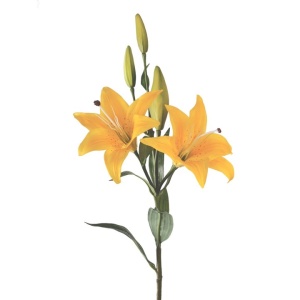 Tiger Lily Double Headed 86cm