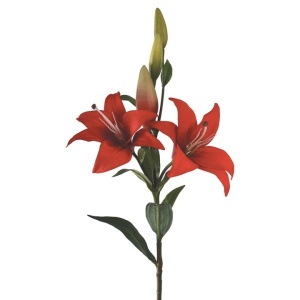Tiger Lily Double Headed 86cm