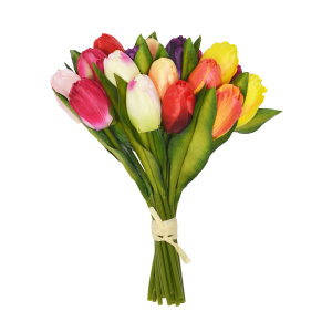 30cm Tulip Foliage X 18 Posy