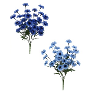 Cornflower X 7 Bush