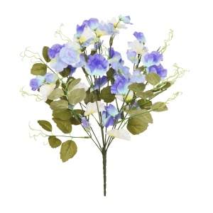 42cm Sweetpea X 9 Bush