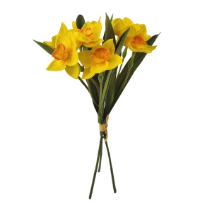 Yellow Narcissus X 3 Hand Tied