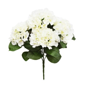 Cream 43cm Hydrangea X 5 Bush