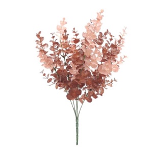 Red Autumn Eucalyptus X 7 Bush