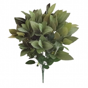 Green Foliage Bush (hard Ruscus)