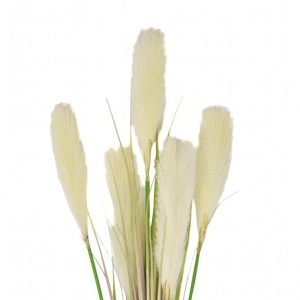 94cm Pampas X 5 Bush