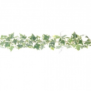 180cm Variegated Ivy X 152 Leaf Chain Link Garland