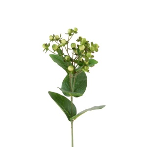 Hypericum X 23fl & 11lvs-72cm
