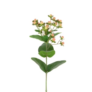 Hypericum X 23fl & 11lvs-72cm