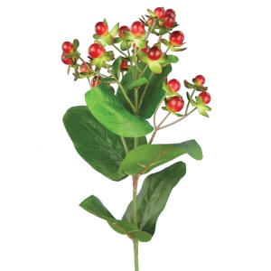Hypericum X 23fl & 11lvs 72cm