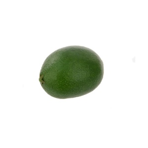 Lime (not Weighted) 7cm