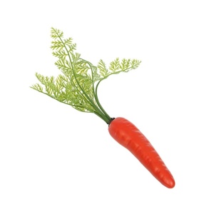 Carrot Medium With Shoots