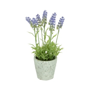 Hybrid Lavender Stone Pot 29cm