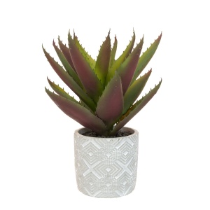 Aloe In Geometric Pot - 30cm