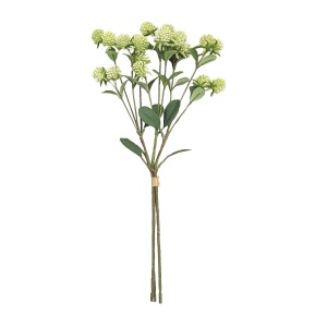Cream Gomphrena X 3 Hand-tied