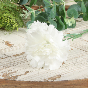 Ivory Per Dozen Carnation