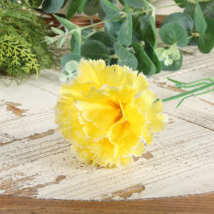 Yellow Per Dozen Carnation (6/144