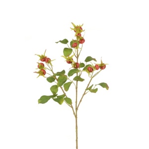 Rosehip Spray 85cm