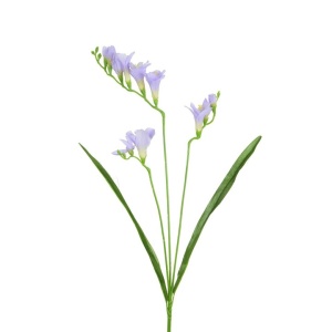 Freesia 5f 6b Violet -65cm