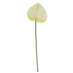 Plastic Anthurium Stem White