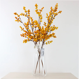 Ball Berry Pic Grape