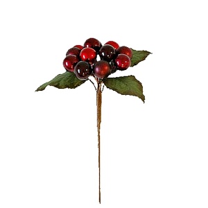 Classic Berry Pick X 12 11cm