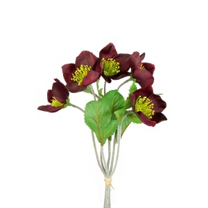 Hellebore Bundle 30cm