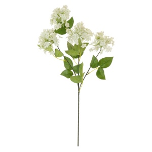 Charlotte Spray Ivory