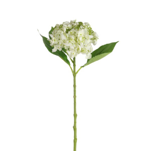 Imperial Hydrangea Stem Ivory