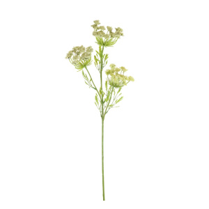 Cow Parsley Spray Pale Green