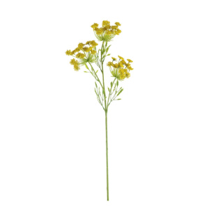 Cow Parsley Spray Yellow
